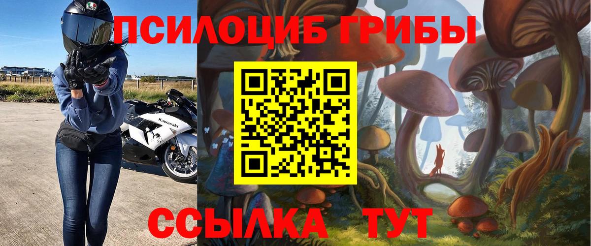 Псилоцибиновые грибы Psilocybe Кириши