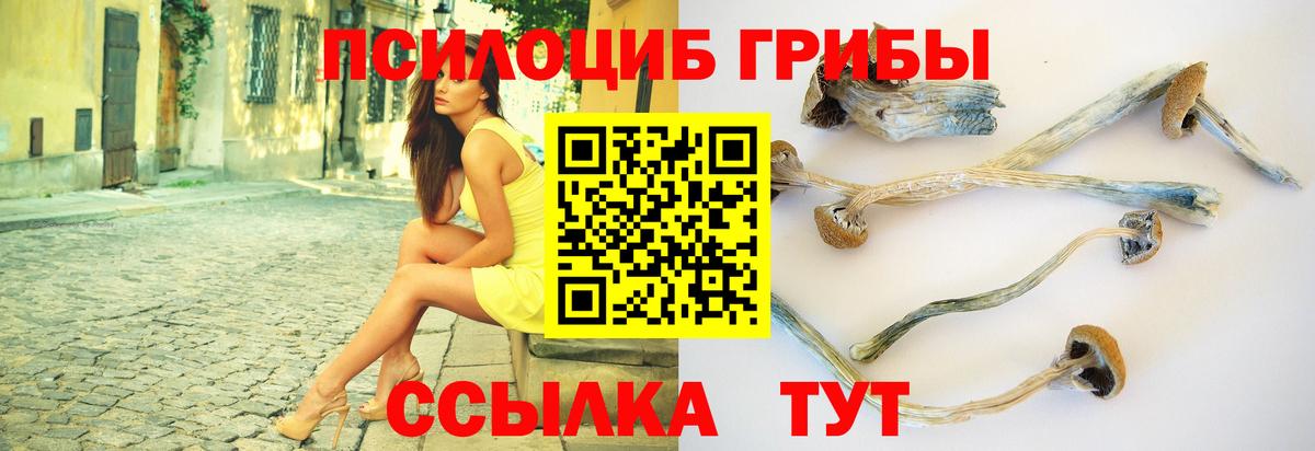 Псилоцибиновые грибы ЛСД  Вход с VPN  Кириши  Псилоцибиновые грибы Cubensis 